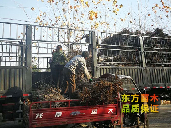 裝車(chē)現(xiàn)場(chǎng)